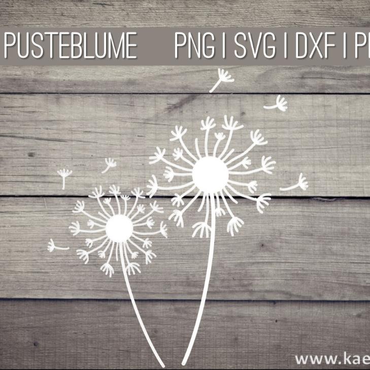 Pusteblume Löwenzahn Plotterdatei