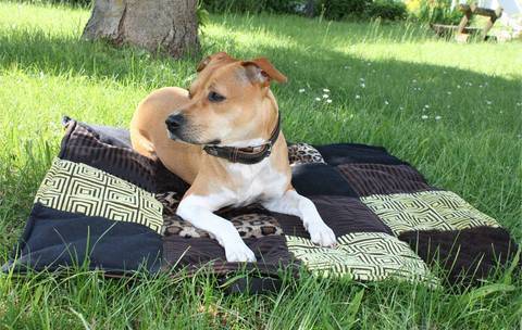 Hundedecke "JULIE" eBook Schnittmuster mit Tutorial