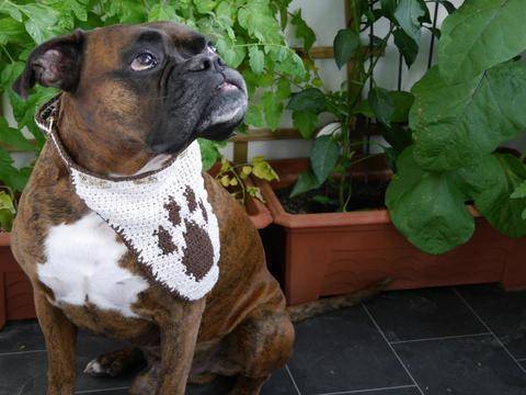Hundehalstuch unisize Dog Style No.6