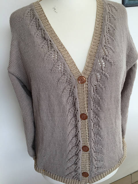 Disoux cardigan (en)
