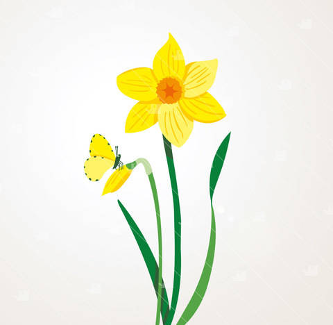 Frühling Narzisse - Plotterdatei