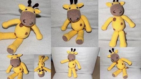ebook Giraffe Günther
