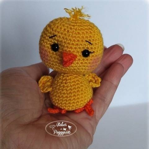 Koki le poussin