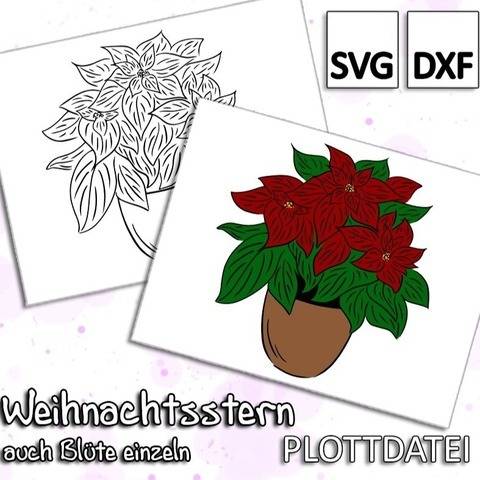 Weihnachtsstern - Plottdatei