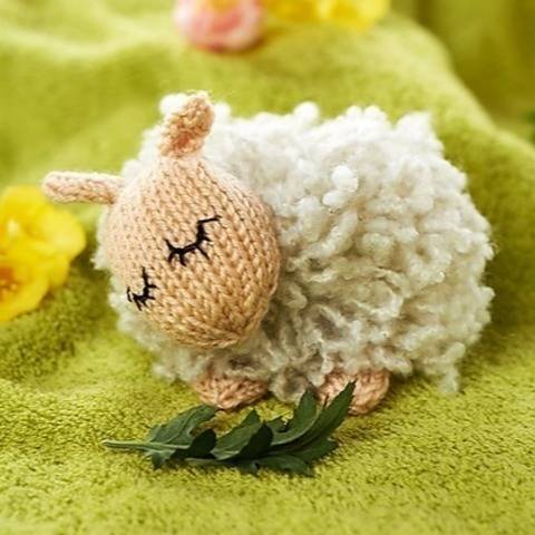 Sleepy Sheep