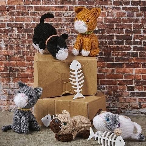 Mini Moggies Pocket Cats