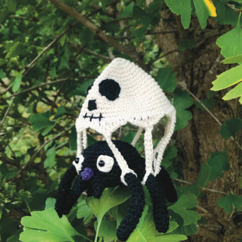 Pïk et Pök, l'araignée à parachute