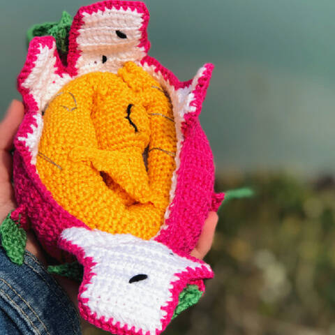 Le fruit du dragon