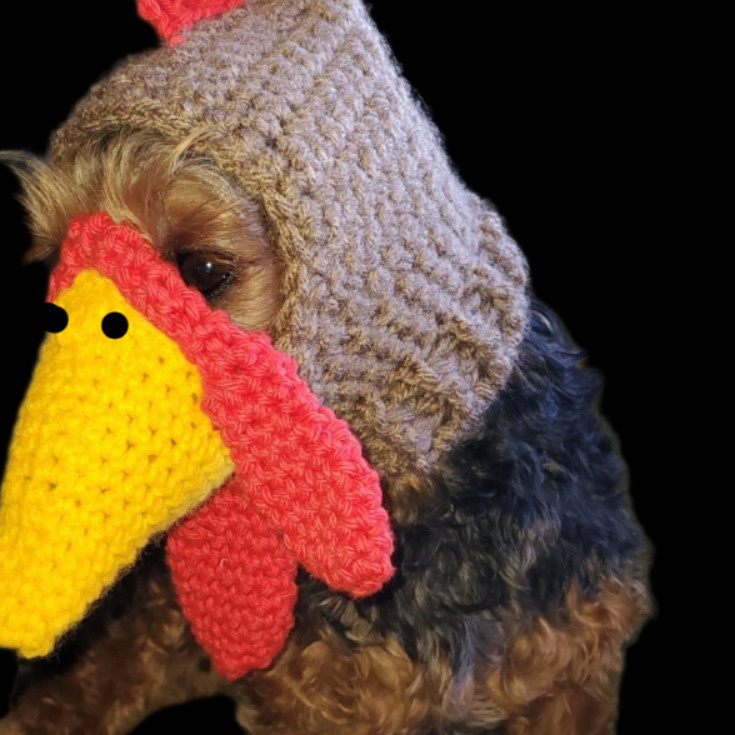 Turkey Dog Hat